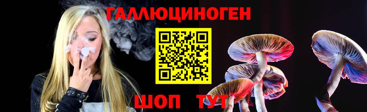 Мурманск  Галлюциногенные грибы Psilocybine cubensis  Вход с VPN 