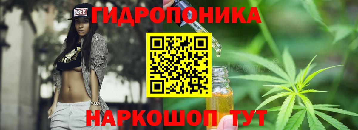 Конопля марихуана  Бошки марихуана гибрид  Вход с VPN  Бошки марихуана индика  Мурманск  Конопля Bruce Banner 